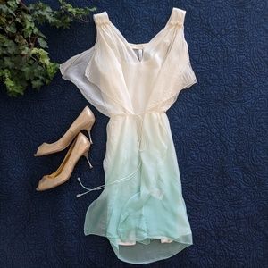 ⬇️Forever New 100% Silk Mini Dress